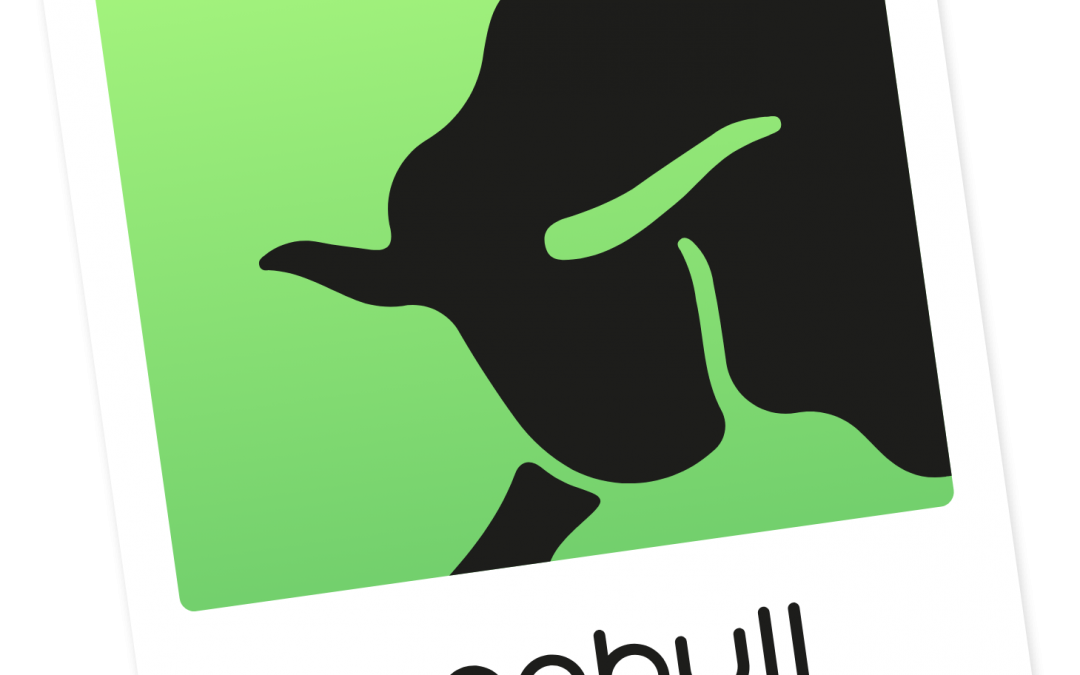 GREENBULL GROUP – DES FORMATIONS EXTRAORDINAIRES